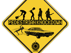 1305188690_pedestrian_knockdown_logo.jpg