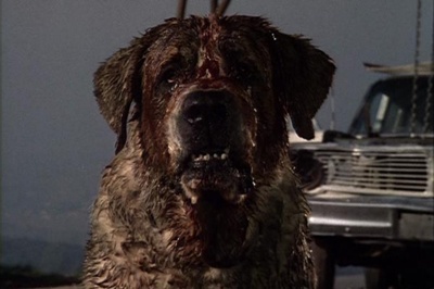 400px-Cujo2.jpg