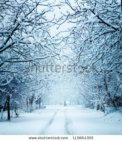 stock-photo-winter-landscape-115664305.jpg